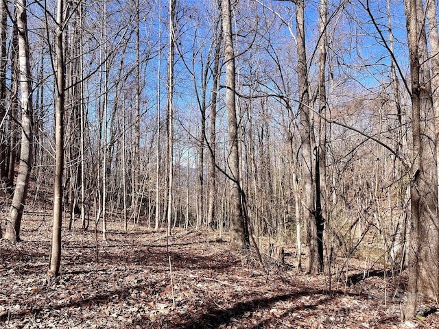 Listing photo 3 for LOT147 Big View Dr, Marion NC 28752