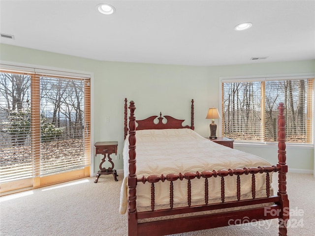 bedroom featuring carpet flooring, multiple windows, and access to exterior