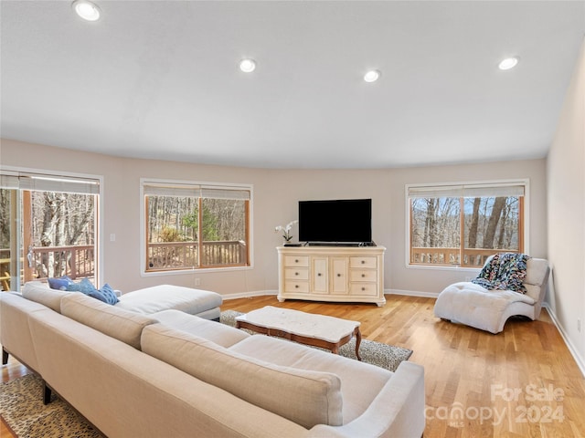 living room featuring light hardwood / wood-style flooring