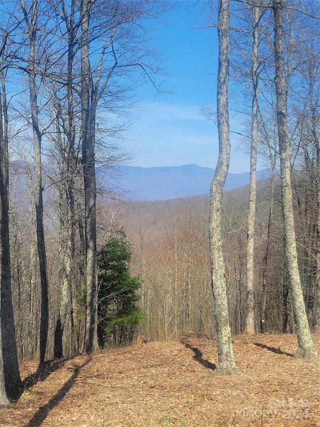 view of mountain view