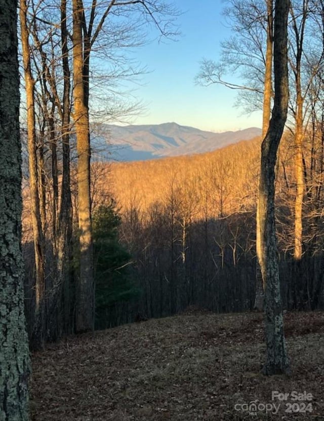 view of property view of mountains