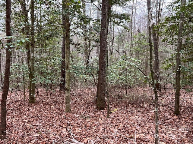 Listing photo 3 for 9999 Upper Whitewater Rd Unit 122, Sapphire NC 28774