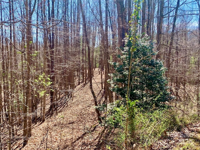 2.78ACRES LOT84 Round Rock Rd Lot 84, Lenoir NC, 28645 land for sale