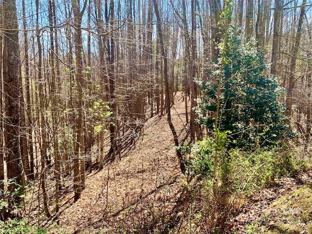 Listing photo 3 for 2.78ACRES LOT84 Round Rock Rd Lot 84, Lenoir NC 28645