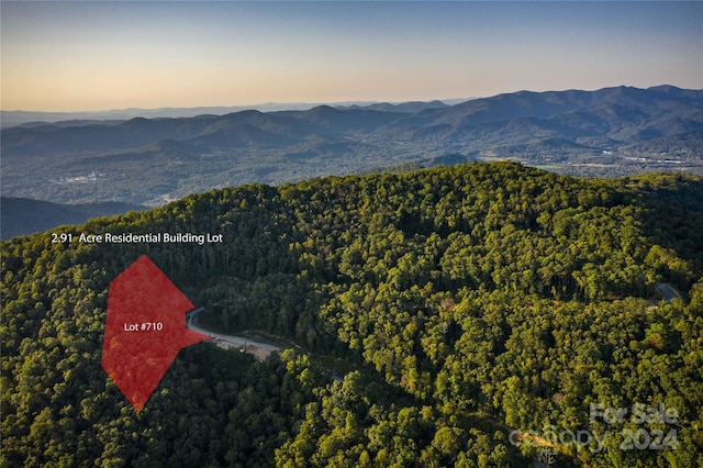 506 Southcliff Pkwy Unit 710, Fairview NC, 28730 land for sale