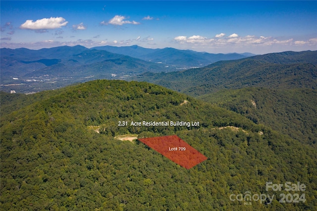 506 Southcliff Pkwy Unit 709, Fairview NC, 28730 land for sale