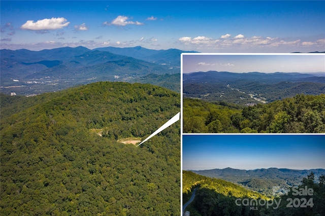 Listing photo 3 for 506 Southcliff Pkwy Unit 709, Fairview NC 28730