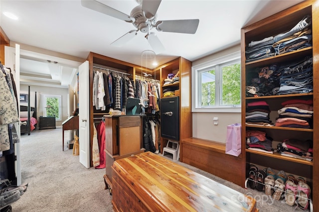 spacious closet with a ceiling fan and light carpet