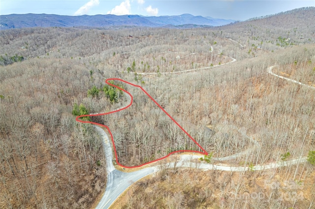 1 Rixhaven Dr, Saluda NC, 28773 land for sale