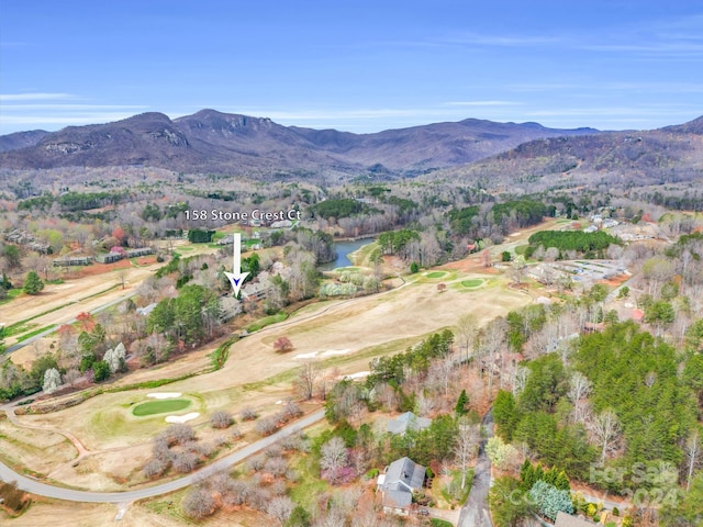 birds eye view of property featuring a mountain view