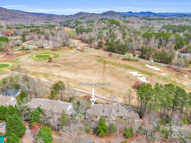 birds eye view of property with a mountain view