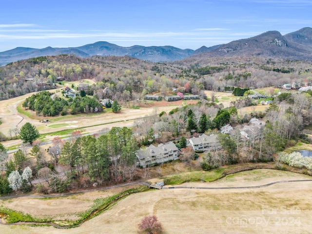 view of mountain view