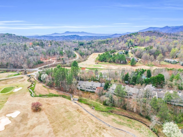 aerial view with a mountain view