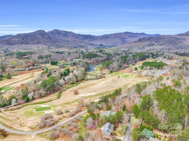 birds eye view of property with a mountain view