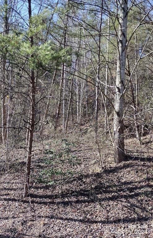 Listing photo 2 for LOT30 Laurel Valley Dr, Marion NC 28752