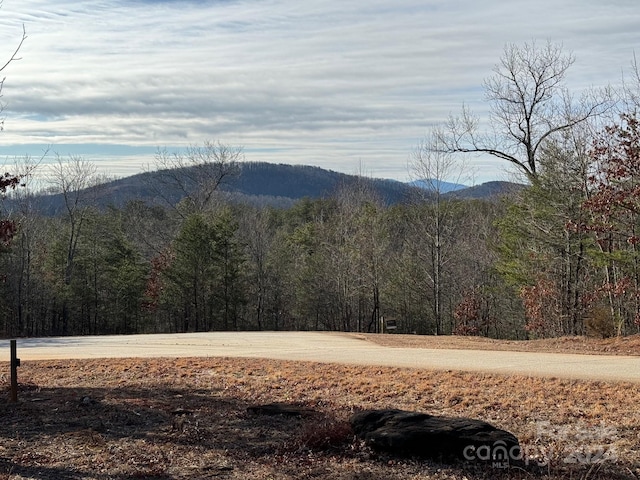 305 Bear Cliff Way, Lake Lure NC, 28746 land for sale