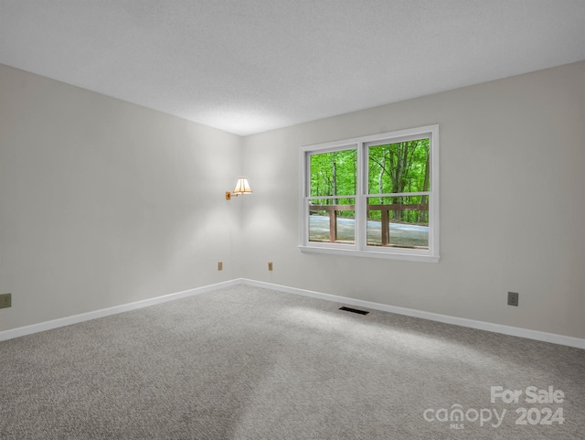 empty room featuring carpet floors