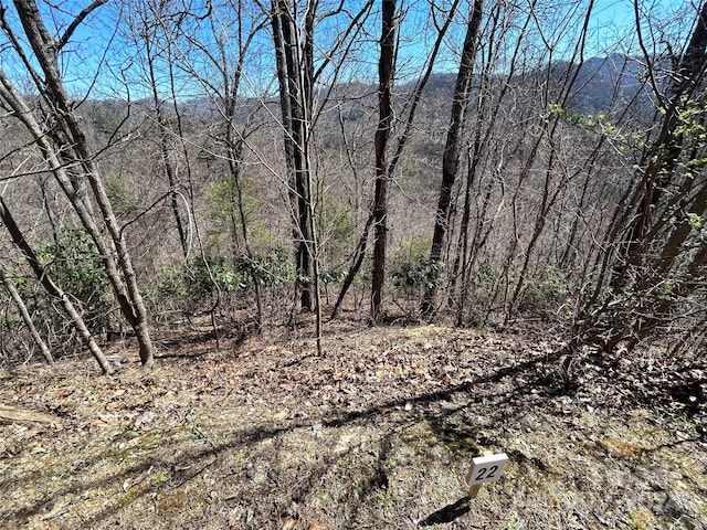 Listing photo 2 for 275 Overlook Ln Unit 22, Marshall NC 28753