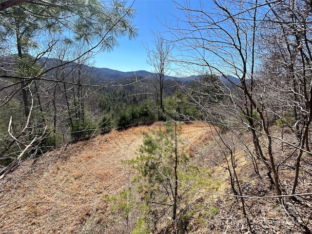 276 Overlook Ln Unit 23, Marshall NC, 28753 land for sale