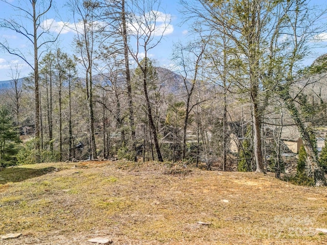 154 Chapel Point Rd Unit 34, Lake Lure NC, 28746 land for sale