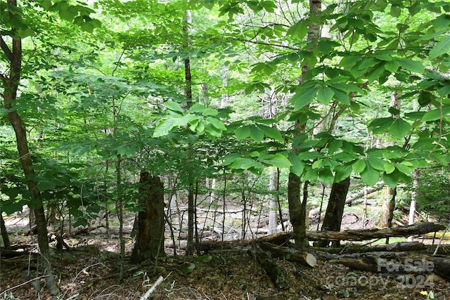 102 Blackberry Trl Unit 235/C, Beech Mountain NC, 28604 land for sale