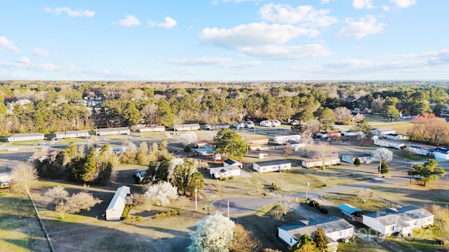 bird's eye view