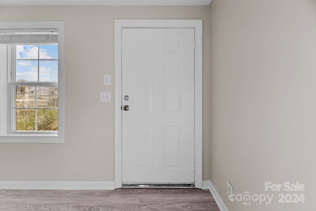 doorway featuring hardwood / wood-style floors and a wealth of natural light