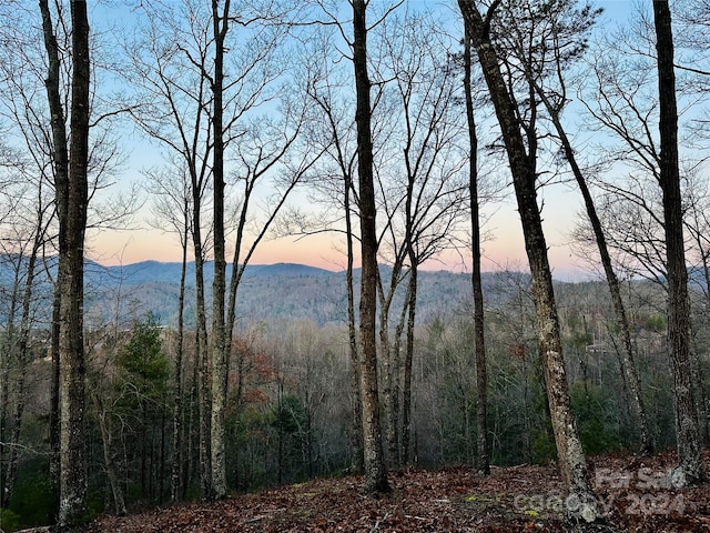 75 Raccoon Run Unit 22, Marshall NC, 28753 land for sale