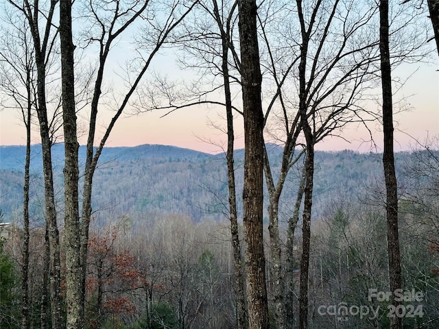 Listing photo 2 for 75 Raccoon Run Unit 22, Marshall NC 28753