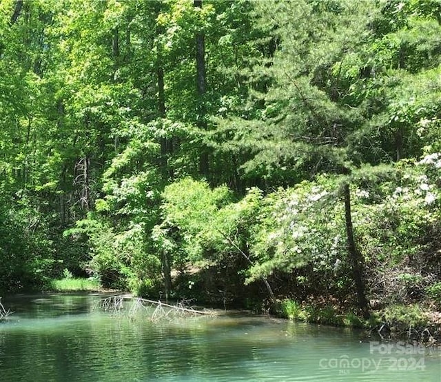 Listing photo 3 for 0 Lakewood Dr, Lake Lure NC 28746