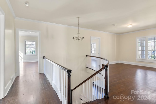 hall featuring ornamental molding, dark hardwood / wood-style flooring, and a chandelier