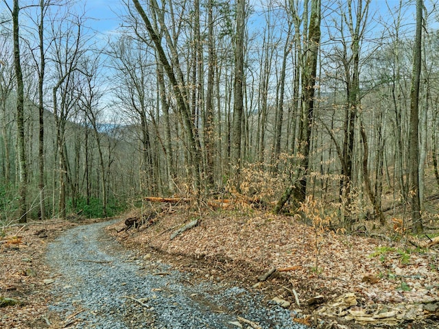 Listing photo 2 for 3/-ACRES Mountain Laurel Ln, Burnsville NC 28714