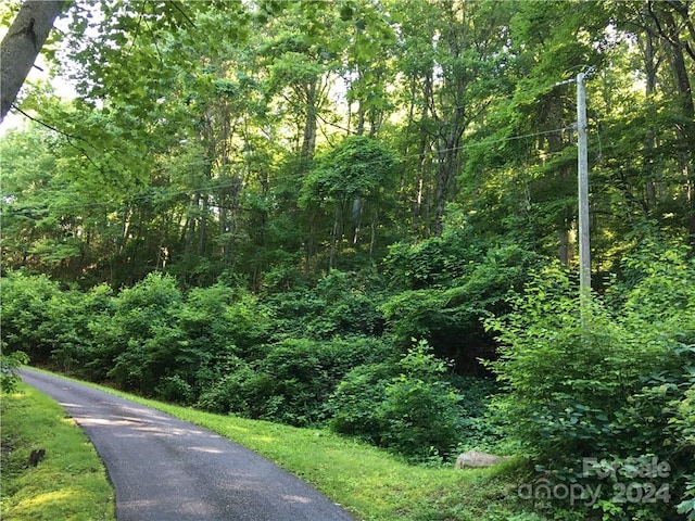 Listing photo 2 for TBD Red Oak Forest Rd, Fairview NC 28730