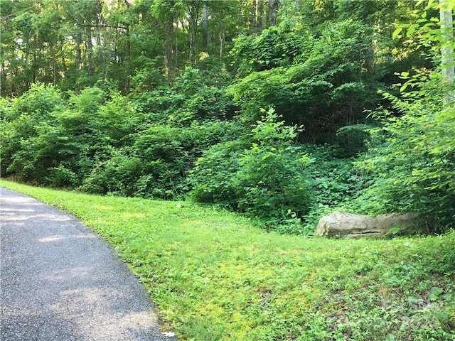 Listing photo 3 for TBD Red Oak Forest Rd, Fairview NC 28730