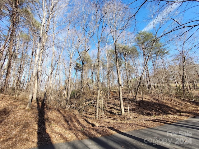 LOT194 Plantation Dr Unit 1402092, Rutherfordton NC, 28139 land for sale