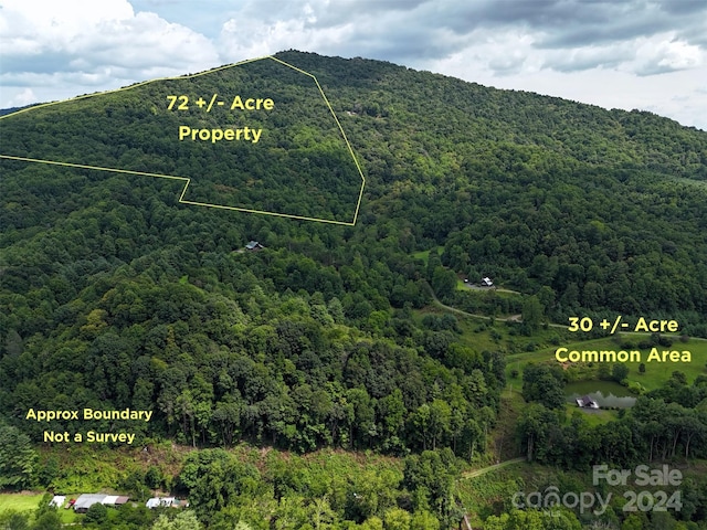 TBD Rock Creek Ridge Rd, Bakersville NC, 27511 land for sale