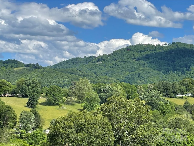 373 Barefoot Rdg, Clyde, NC 28721 - photo 3