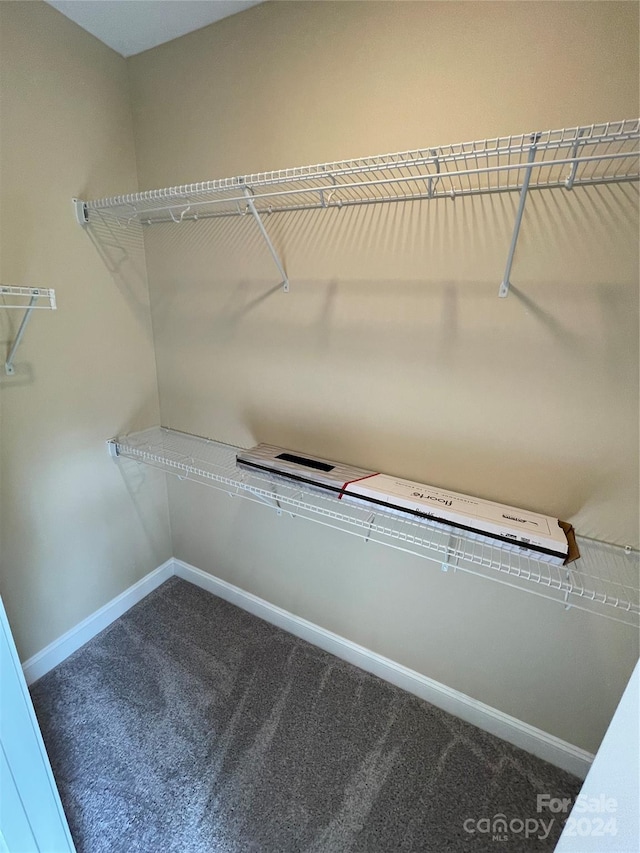 spacious closet featuring carpet