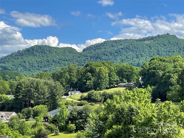 373 Barefoot Rdg, Clyde, NC 28721 - photo 4