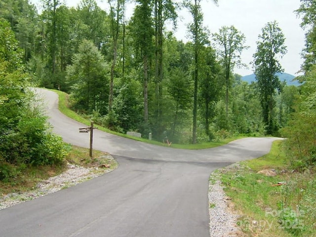 0 Shagbark Dr Unit 80, Sylva, NC 28779