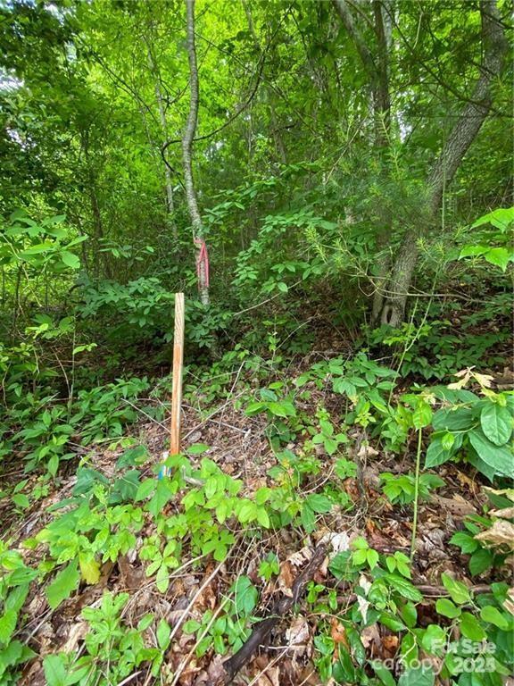 0 Shagbark Dr Unit 80, Sylva, NC 28779