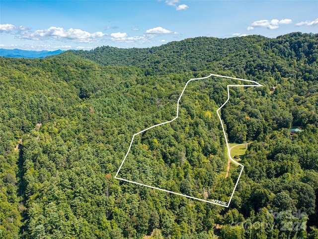 00000 Meadow Fork School Rd, Hot Springs NC, 28743 land for sale