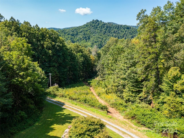 Listing photo 3 for 00000 Meadow Fork School Rd, Hot Springs NC 28743