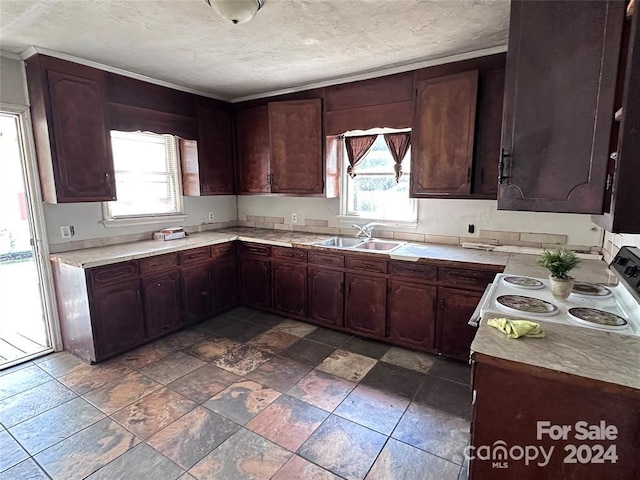 kitchen with sink, dark brown cabinets, and white stove