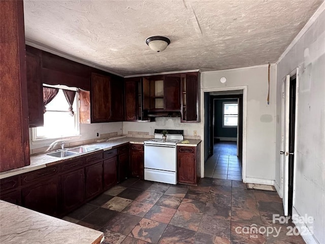 kitchen featuring dark brown cabinetry, sink, electric range, and plenty of natural light