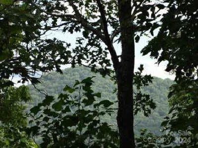 Listing photo 3 for 0 Laurel Mountain Dr, Brasstown NC 28904