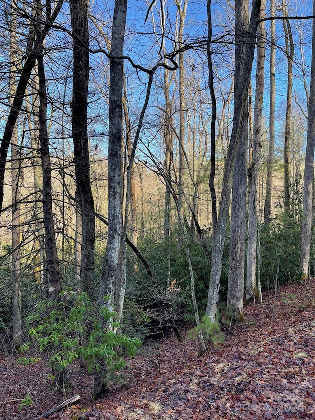 000 Old Ccc Rd, Hendersonville NC, 28739 land for sale