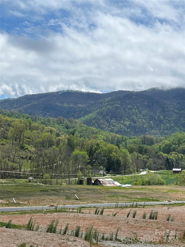 view of mountain feature with a rural view