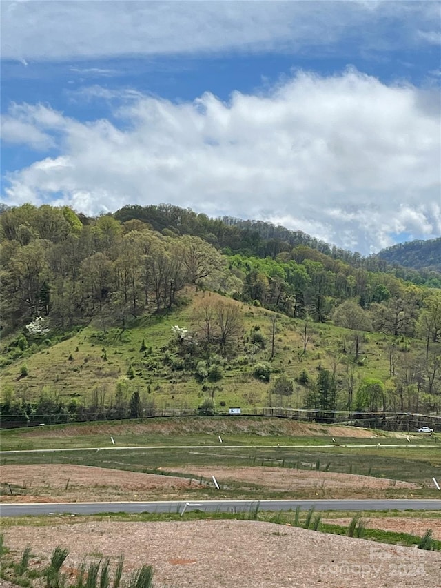 property view of mountains with a rural view