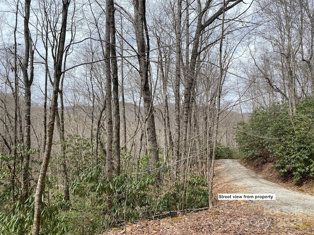 Listing photo 3 for LOT2 Lake Ridge Ln, Topton NC 28781